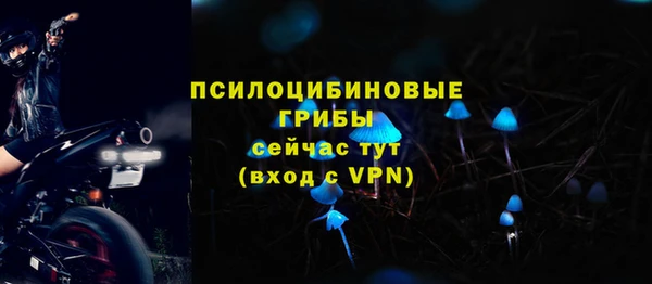 ПСИЛОЦИБИНОВЫЕ ГРИБЫ Баксан