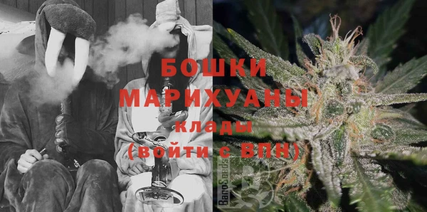 трава Белокуриха