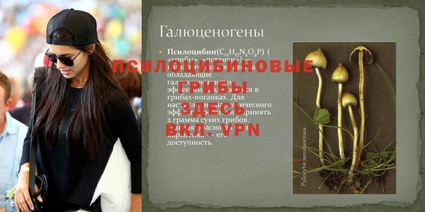 тгк Беломорск