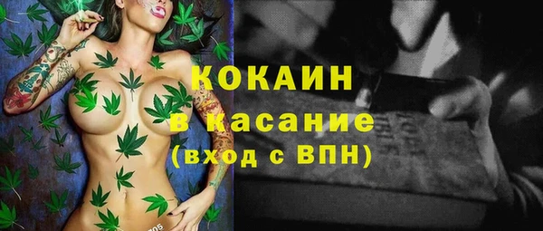 прущие грибы Балабаново