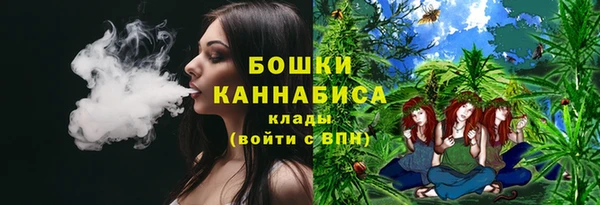 ПСИЛОЦИБИНОВЫЕ ГРИБЫ Баксан