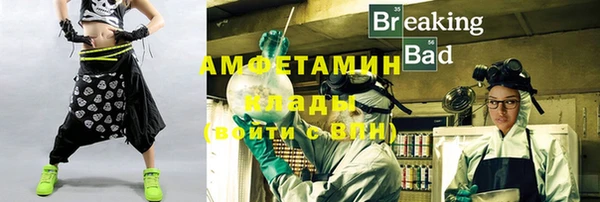 прущие грибы Балабаново