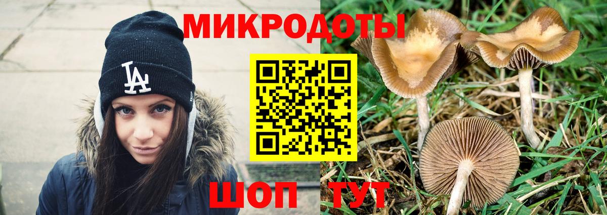 Псилоцибиновые грибы Psilocybine cubensis  Вход с VPN  Кунгур 