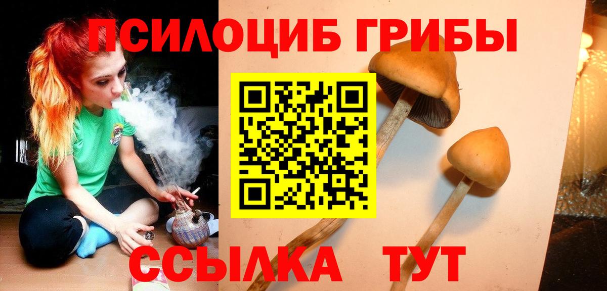 Псилоцибиновые грибы GOLDEN TEACHER Кунгур