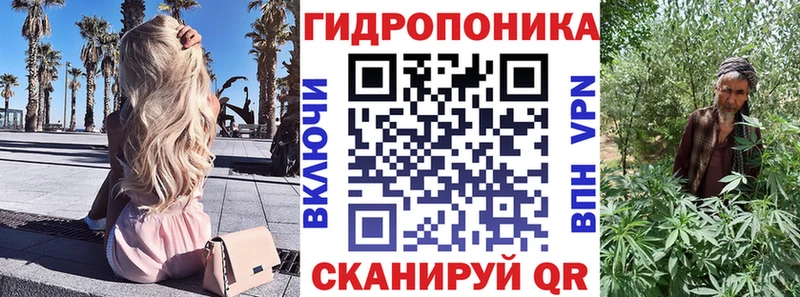 Конопля сатива  Кунгур 